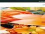 Floraqueen.com Gutscheine & Cashback im Juni 2023