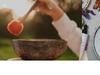 Keynaturals Gutscheine & Cashback im Mai 2025 Keynaturals Gutscheine & Cashback im Mai 2025
