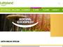 Lottoland.com Gutscheine & Cashback im Juni 2023