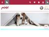 Petotal.de Gutscheine & Cashback im Juni 2023 Petotal.de Gutscheine & Cashback im Juni 2023