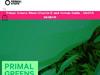 Primal-state.de Gutscheine & Cashback im September 2023 Primal-state.de Gutscheine & Cashback im September 2023