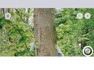 Sonshaar Gutscheine & Cashback im November 2025 Sonshaar Gutscheine & Cashback im November 2025