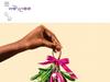 We-vibe.com Gutscheine & Cashback im Juli 2022 We-vibe.com Gutscheine & Cashback im Juli 2022